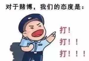 利用“老虎机”赌博?龙湖警方查你没商量,6人被行拘!