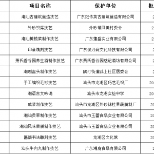 当端午遇上非遗日,一起了解感受龙湖非遗魅力吧!