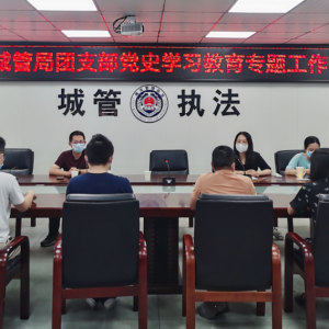 龙湖区城管局团支部召开党史学习教育专题工作会议