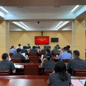 龙湖法院召开政法队伍教育整顿总结提升环节工作推进会