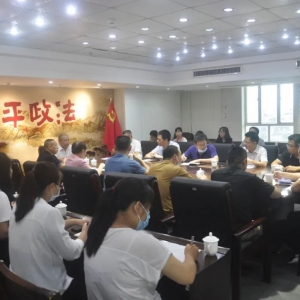金平区委政法委召开政法队伍教育整顿总结大会