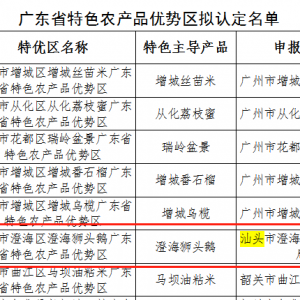 “澄海狮头鹅”上榜公示名单!广东将认定一批特色农产品优势区