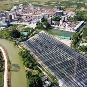 汕头这个“红色村”成网红打卡地,一年增收近30万元