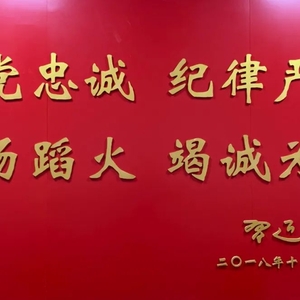 市应急管理局召开2022年度党支部书记抓基层党建工作述职评议会