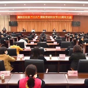 潮阳区召开纪念“三八”国际劳动妇女节113周年大会