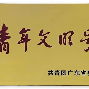 喜报 | 澄海区公共服务中心荣获第21届广东省青年文明号称号