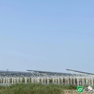 【上级媒体看潮阳】潮阳税务局助力本地光电项目发展提速