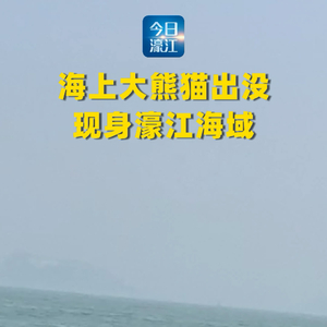 呵护海洋大家庭！第十届“海洋生态保护公益日”活动在中海龙虎滩举办 ... ... ... ...