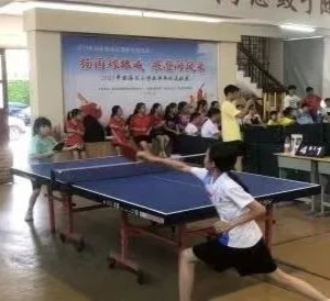 2023年澄海区小学生乒乓球赛圆满结束