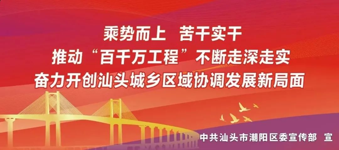 @潮阳青年,2024年潮阳区大学生 “返家乡”暑假社会实践活动来了!