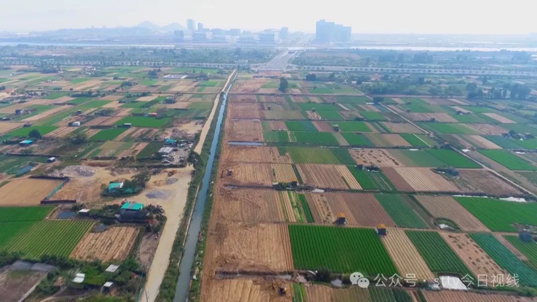 翠峰路和莲阳河南岸道路动工建设