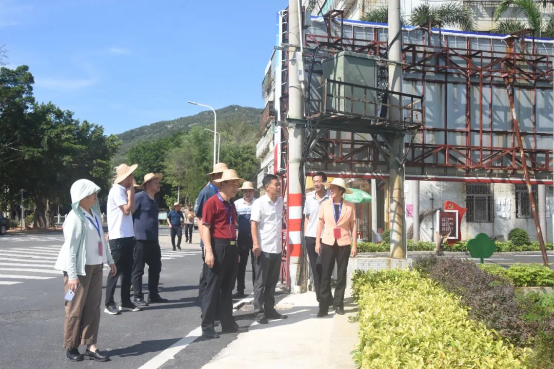 南澳县人大常委会检查我县推进“百千万工程”和实施乡村振兴战略情况