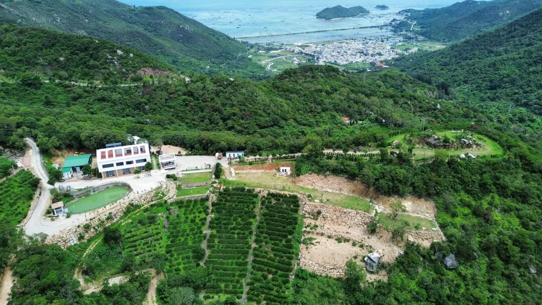 汕头市南澳县村企联建“先锋工场”,蹚出乡村振兴新路