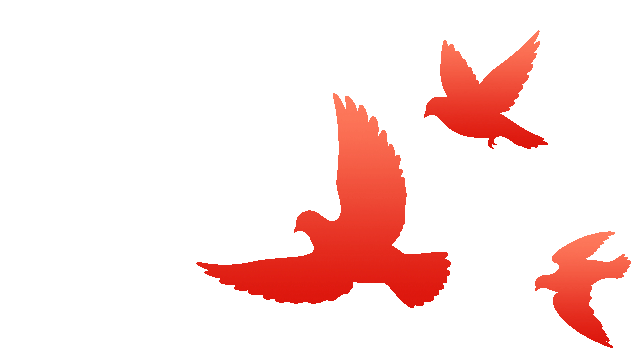 网警庄严承诺:铭记胜利荣光 筑牢网络长城