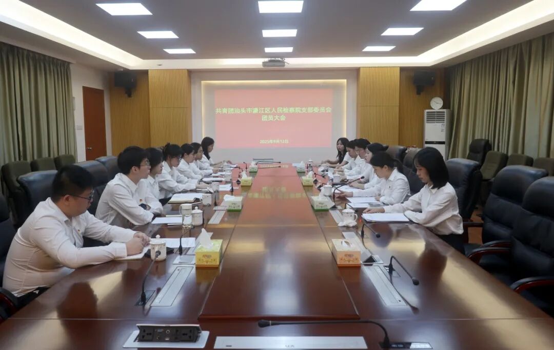 濠江区人民检察院团支部圆满完成换届选举