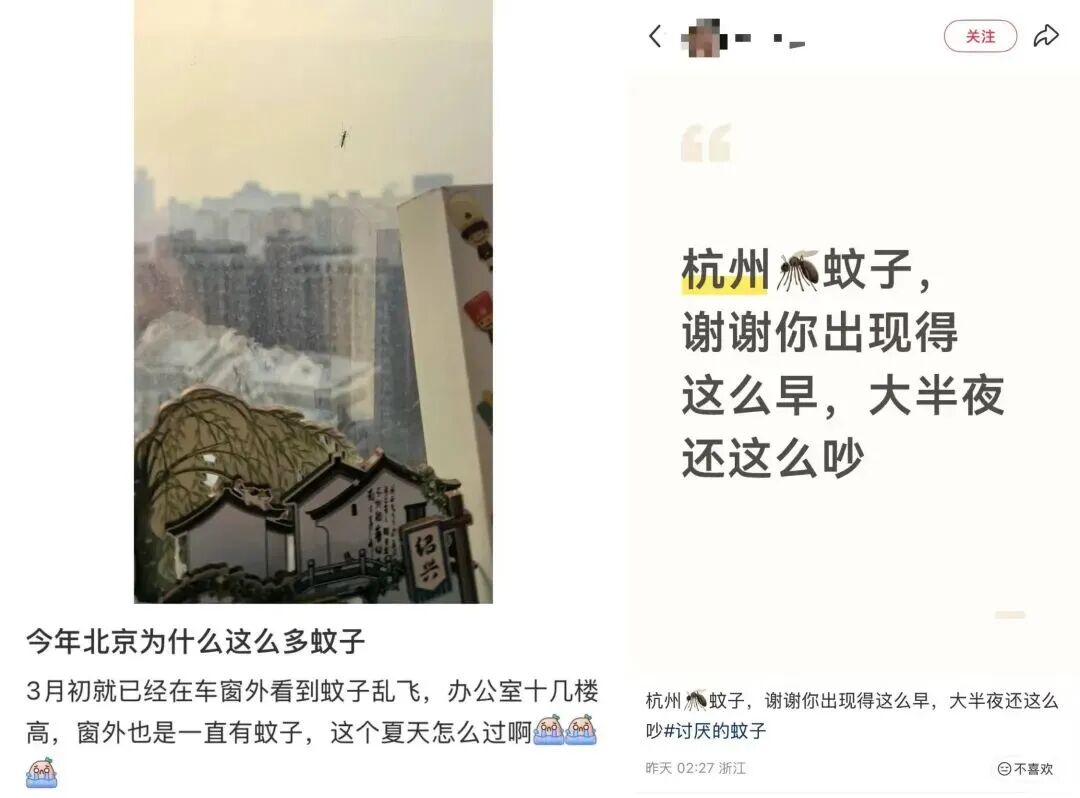“今年蚊子史诗级加强”?疾控部门提醒