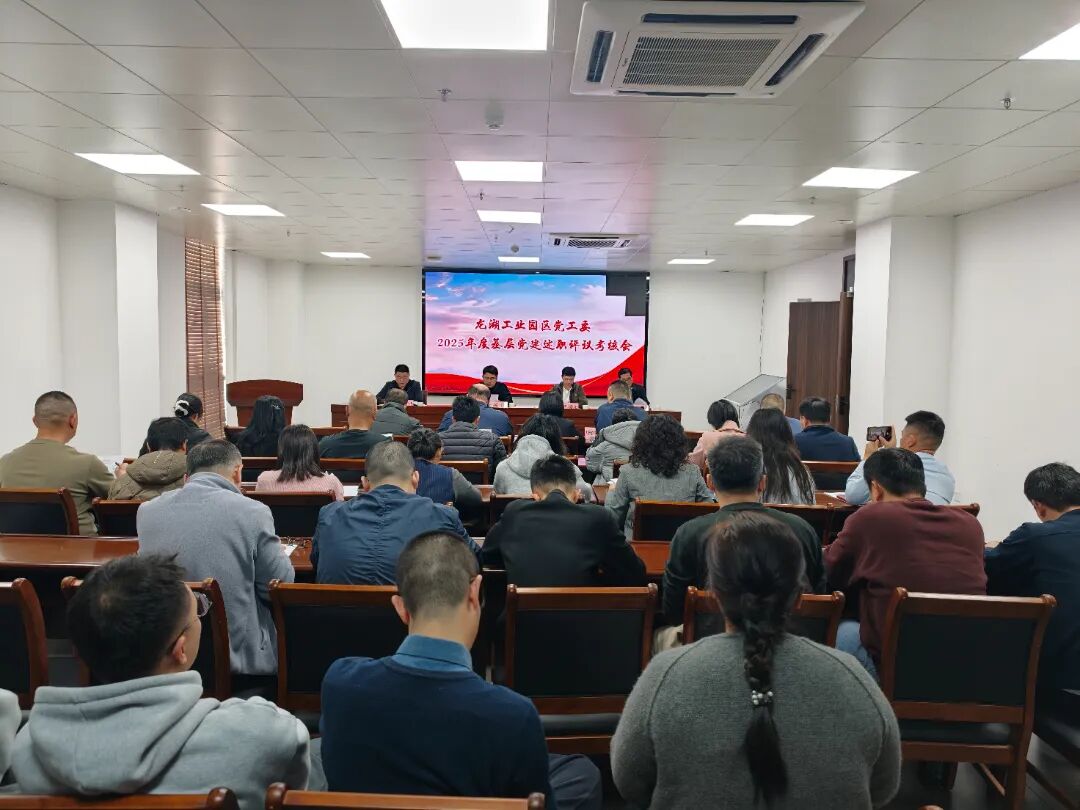 龙湖工业园区党工委召开2025年度党组织书记抓基层党建工作述职评议会