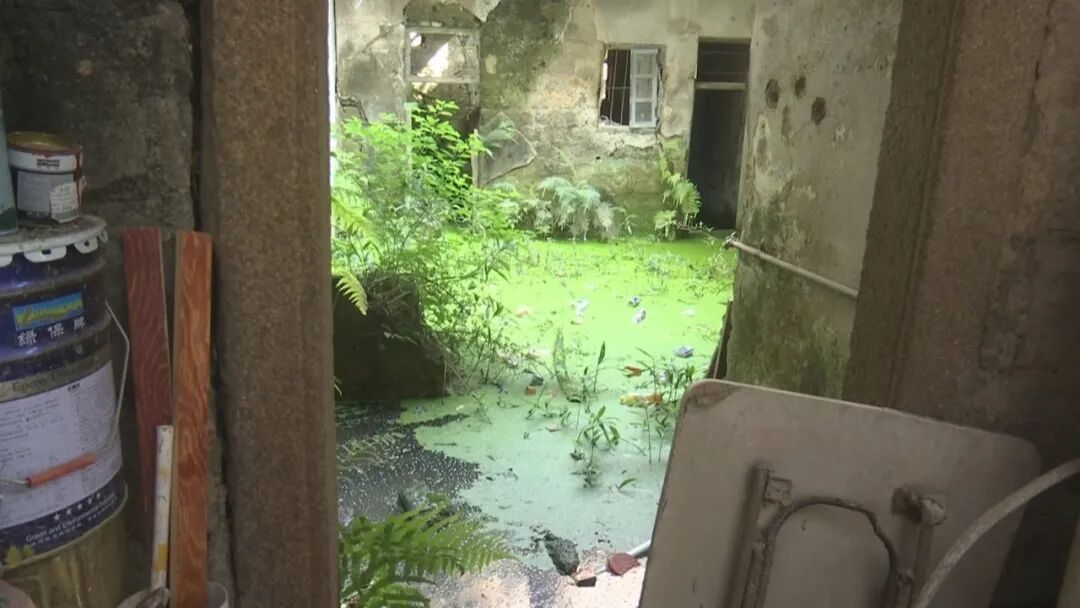 老屋闲置常积水  邻居受扰盼处置