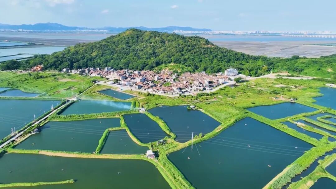 世界地球日:浔洄整治环境  助力乡村振兴