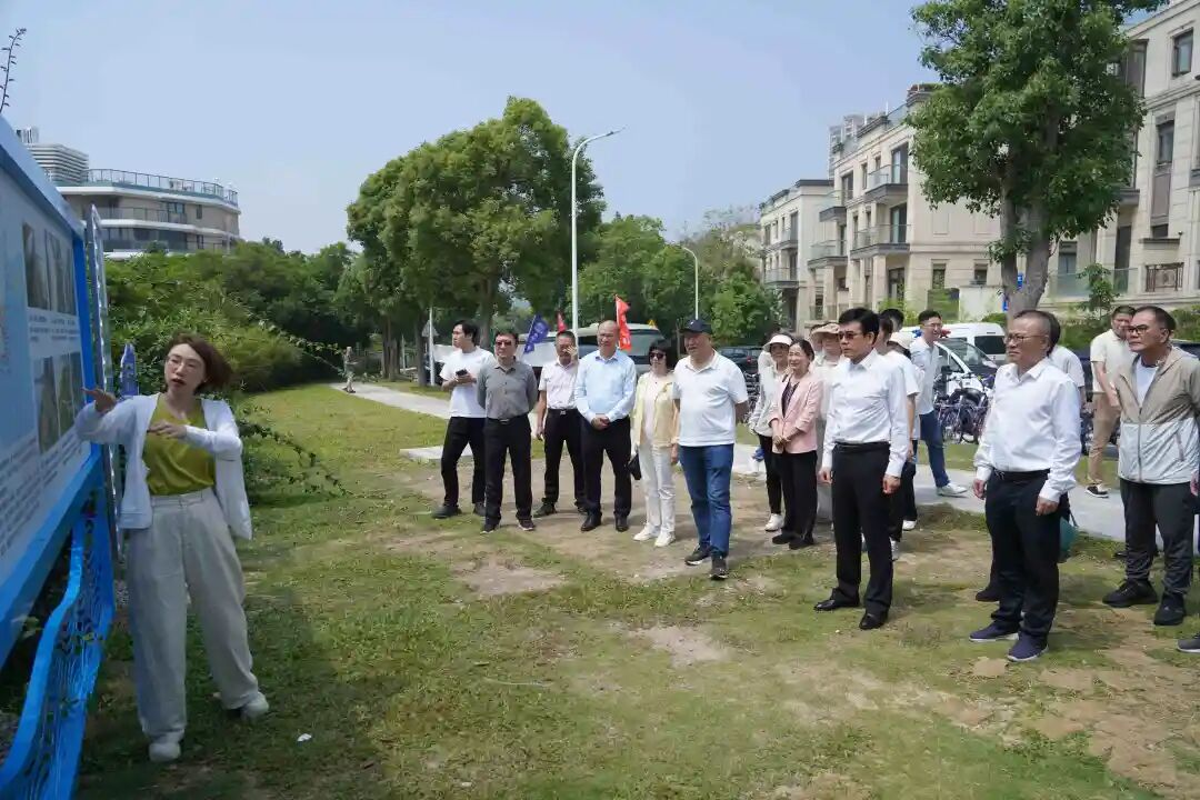 汇智聚力助推滨海旅游产业高质量发展 | 市政协调研滨海旅游路濠江先行段