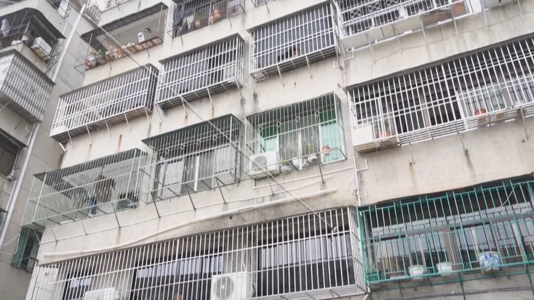 楼内蜂只飞舞  居民不堪其扰