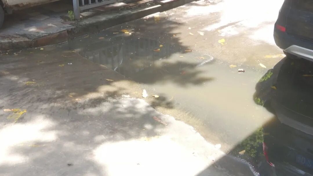 雨后积水难消退  影响通行飘臭味