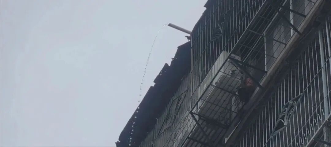 楼顶雨水“直排”  当地正协调解决