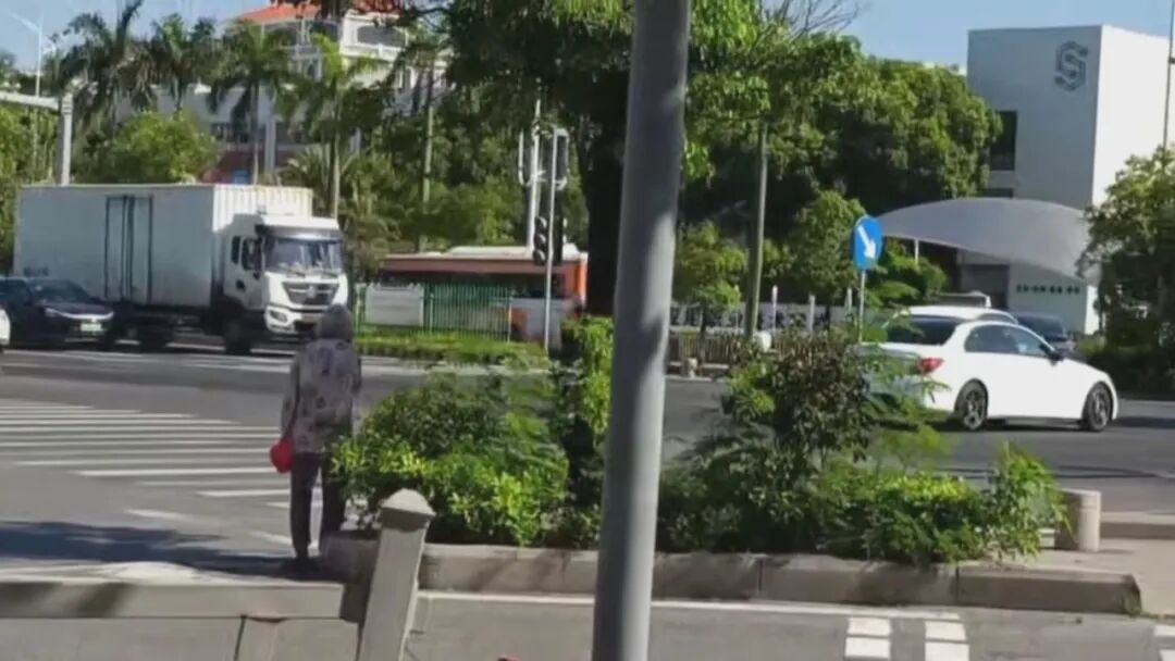 老人车流中穿梭  热心市民助归家