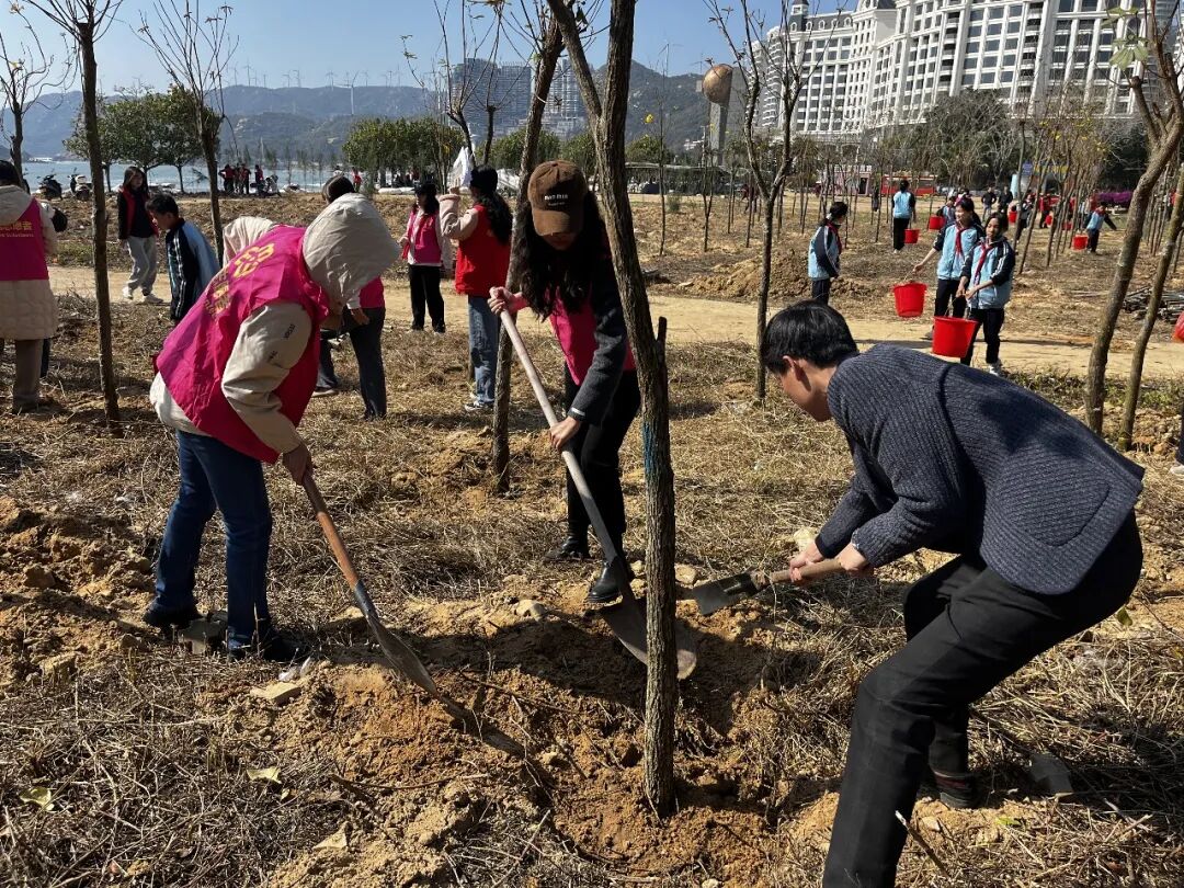 南澳县妇联举办“同植幸福树 共建绿美家”植树活动