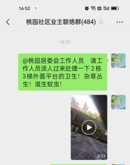 杜绝蚊虫 （感谢有关部门重视！已处理好了）