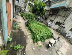 丽日庄西区33幢楼下杂草滋生蚊子