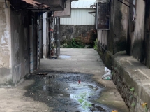 污水横流 蚊虫滋生