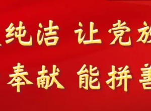维护国家安全应当坚持哪些原则？