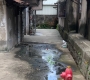 污水横流 蚊虫滋生