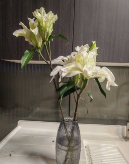 明经苑5楼