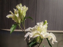 明经苑5楼