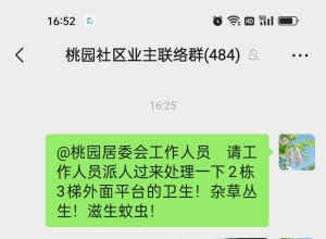 杜绝蚊虫 （感谢有关部门重视！已处理好了）