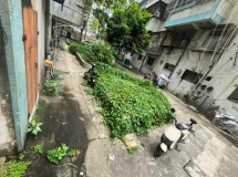 丽日庄西区33幢楼下杂草滋生蚊子