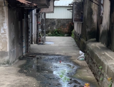 污水横流 蚊虫滋生