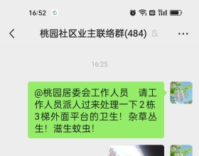 杜绝蚊虫 （感谢有关部门重视！已处理好了）