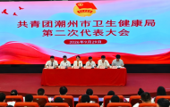 共青团潮州市卫生健康局第二次代表大会顺利召开