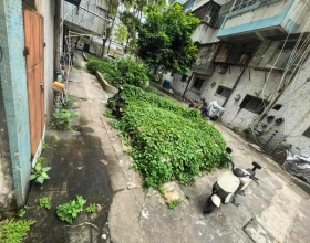 丽日庄西区33幢楼下杂草滋生蚊子