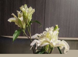 明经苑5楼