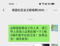 杜绝蚊虫 （感谢有关部门重视！已处理好了）