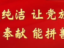 维护国家安全应当坚持哪些原则？