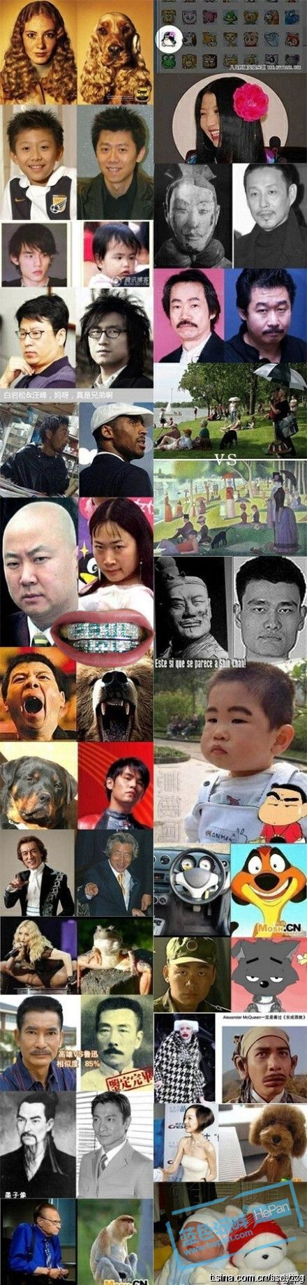 jpg