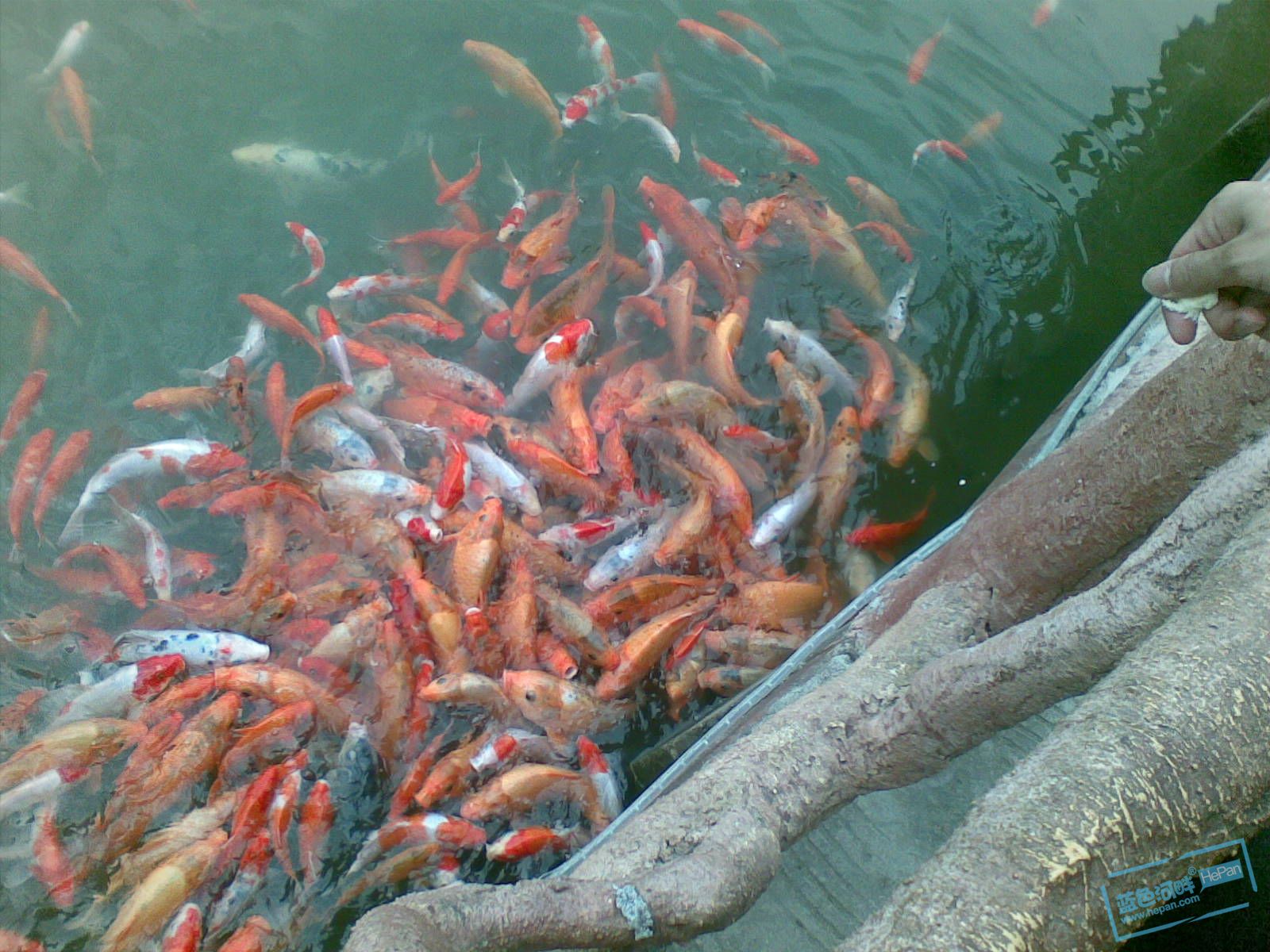 20110507(004).jpg