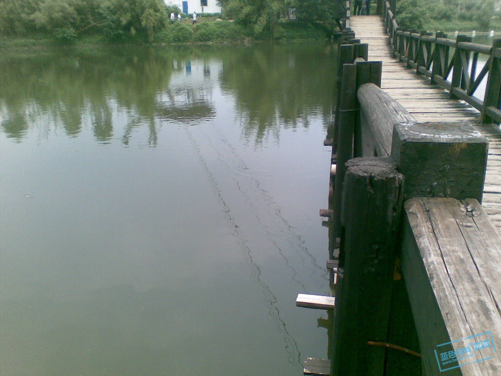 20110507(020).jpg