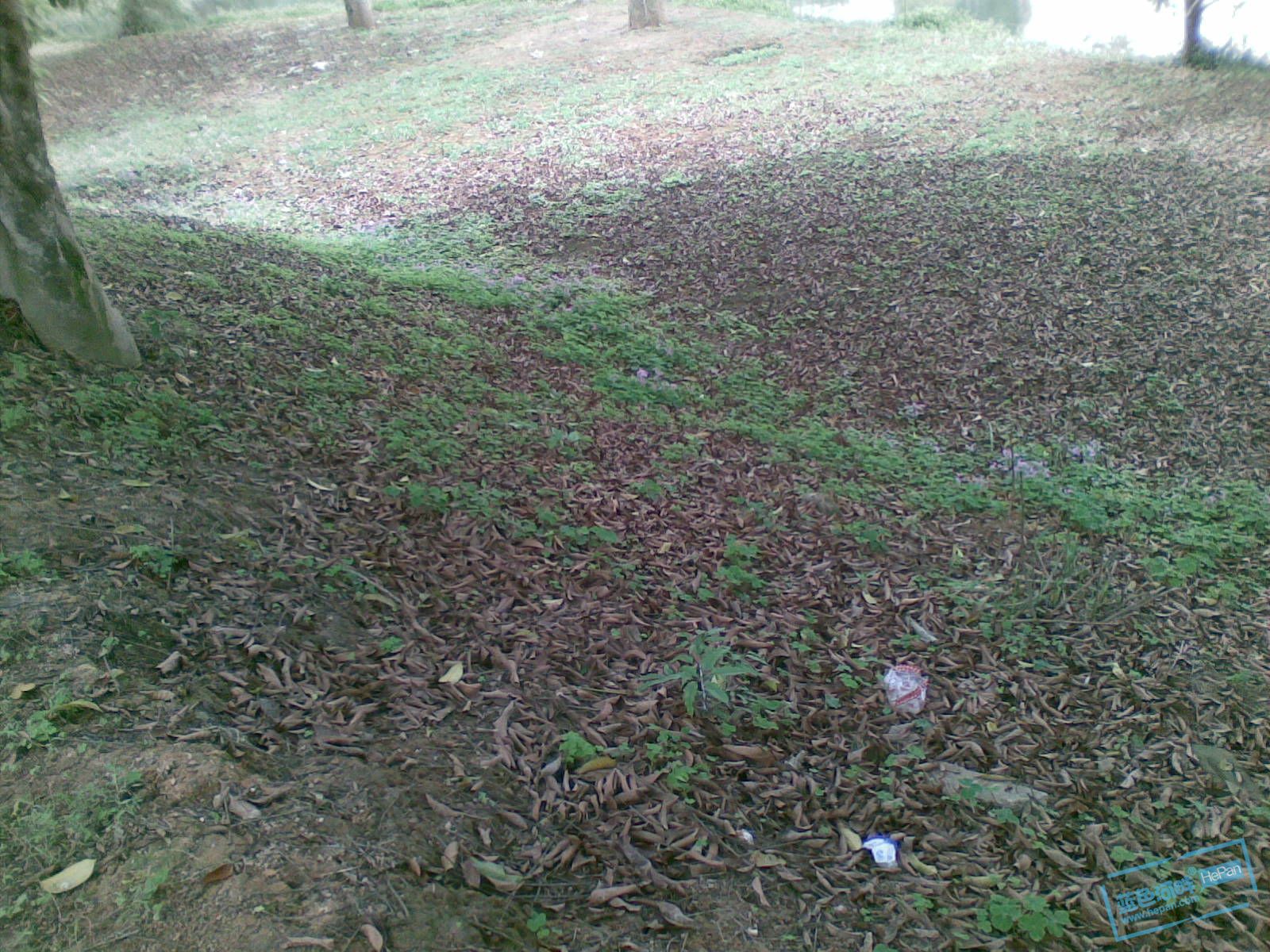 20110507(024).jpg