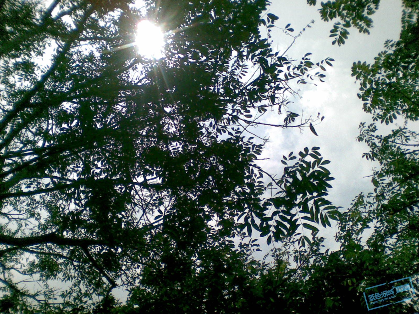 20110507(025).jpg